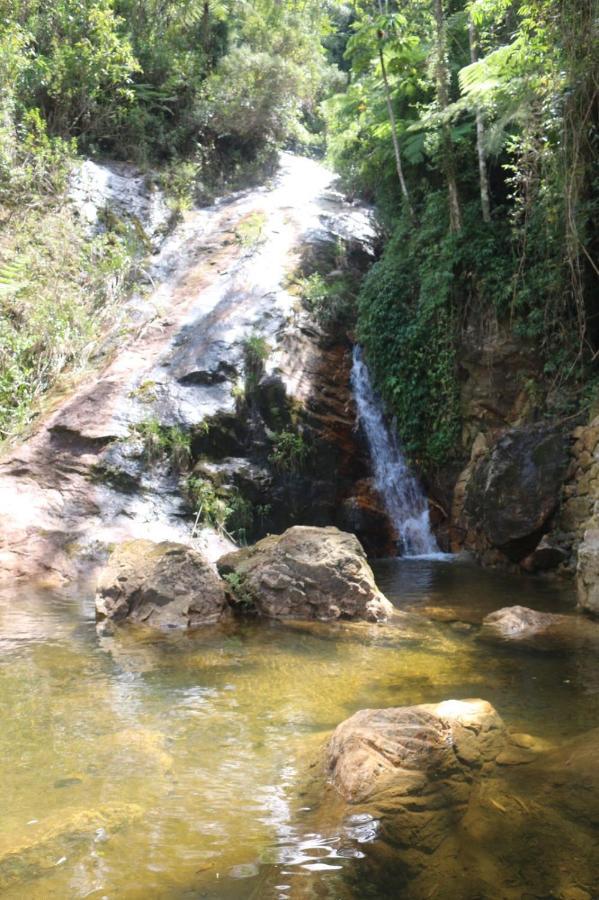 Blue Bear Cabins Villa Petropolis  Bagian luar foto